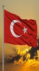 Türk Bayrağı Duvar Kağıtları screenshot 2