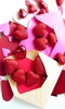 Valentines Day Live Wallpaper screenshot 5