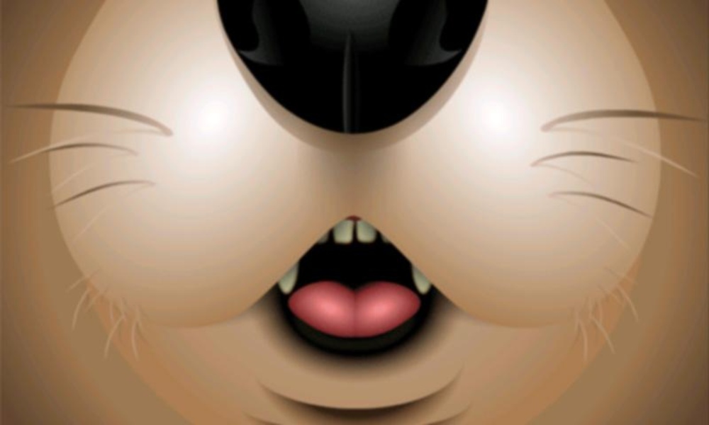 hellozoo lite - Preview 11