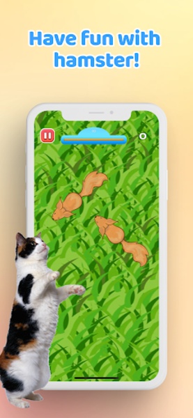 Cat Toy Mouse Game Videos For Cats To Watch Mice Games For