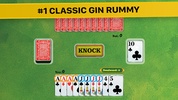 Gin Rummy * screenshot 4