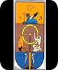 TU TAROT screenshot 1