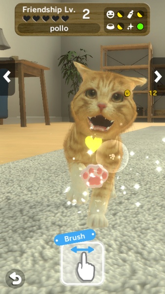 with My CAT - Preview 2