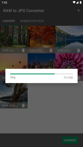 RAW to JPG Converter - Preview 3