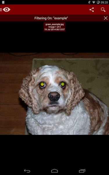 Red Eye Removal (Free) - Preview 9