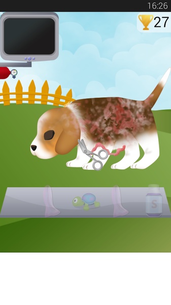 Dog Pregnancy - Preview 1