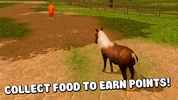 Farm Pony Horse Ride 3D screenshot 4