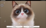 Shui The Kitten Lite screenshot 2