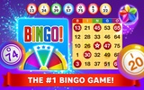 Bingo Star - Bingo Games screenshot 6