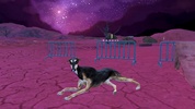 Greyhound Dog Simulator screenshot 12