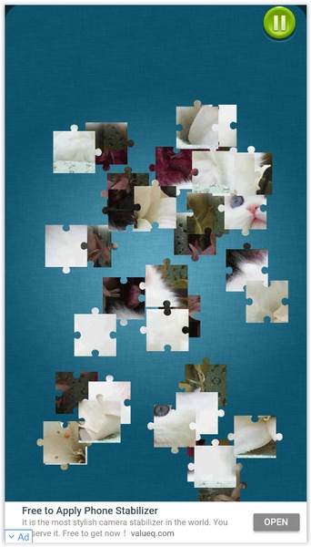 Cute Cats Jigsaw Puzzle - Preview 5