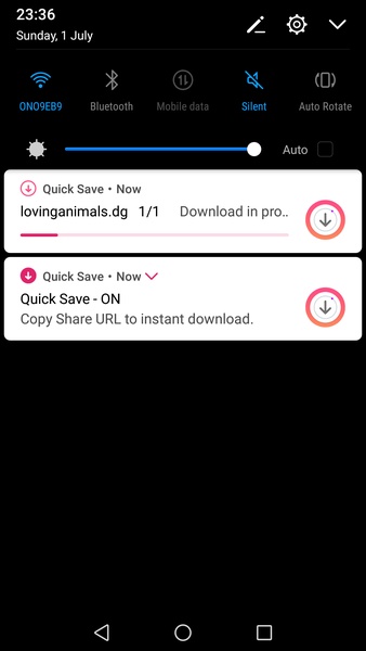 Quick Save For Instagram - Preview 3