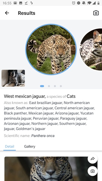 Picture Animal - Animal ID Pro - Preview 11