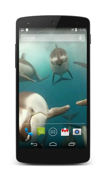 Dolphins Live Wallpaper - Preview 5