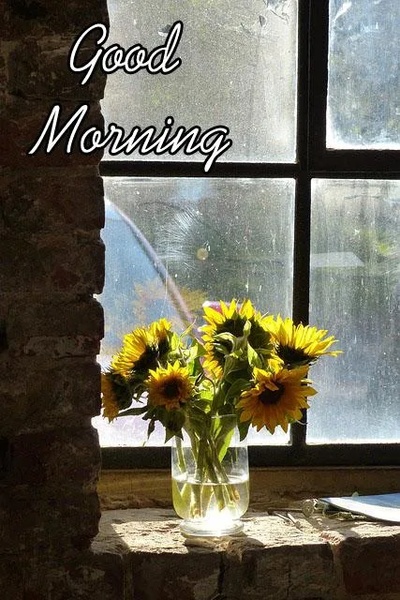 Good Morning Images - Preview 11