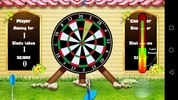 Pro Darts screenshot 4