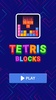 Tetris: Brick Game screenshot 8