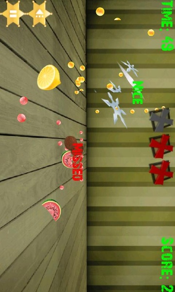 Fruit Shoot Ninja - Preview 3