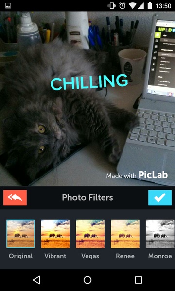 PicLab - Photo Editor - Preview 2