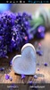 Love Flowers Live Wallpaper screenshot 7