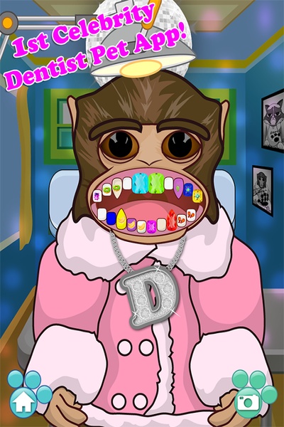 Celebrity Dentist Office Pets Free - Preview 7