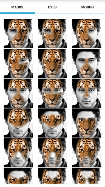 AnimalFaces - Preview 6