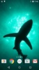 Sharks Live Wallpaper screenshot 6