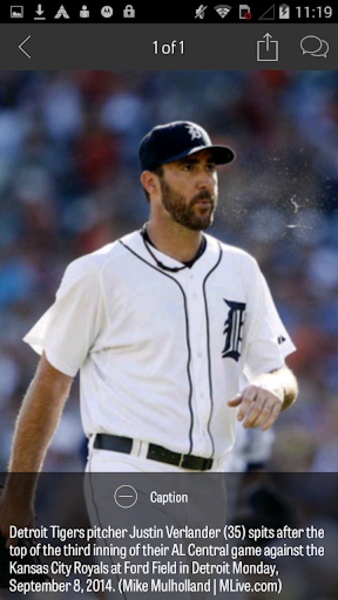 Tigers - Preview 1