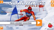Slalom Ski Simulator screenshot 4