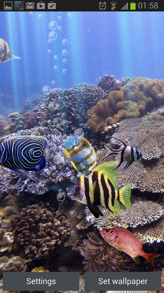 The real aquarium - HD - Preview 6