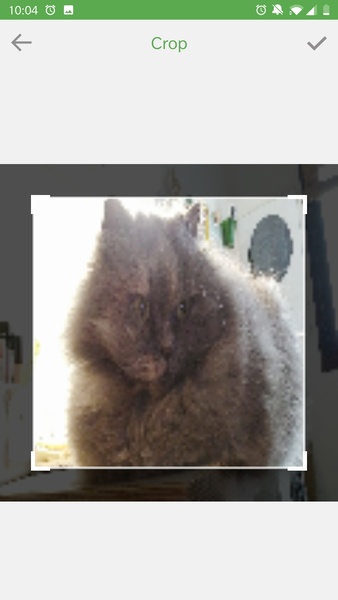 My Photo Keyboard - Emoji keyboard - Preview 3