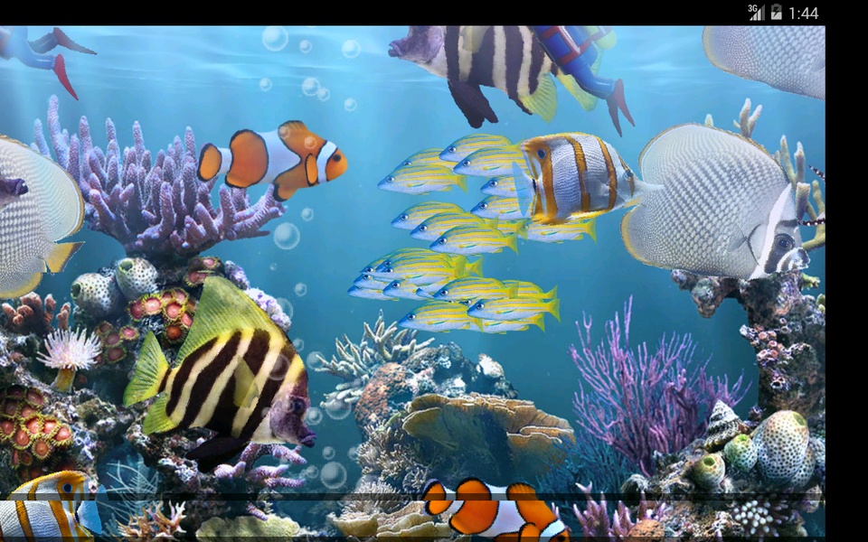 The real aquarium - HD - Preview 17