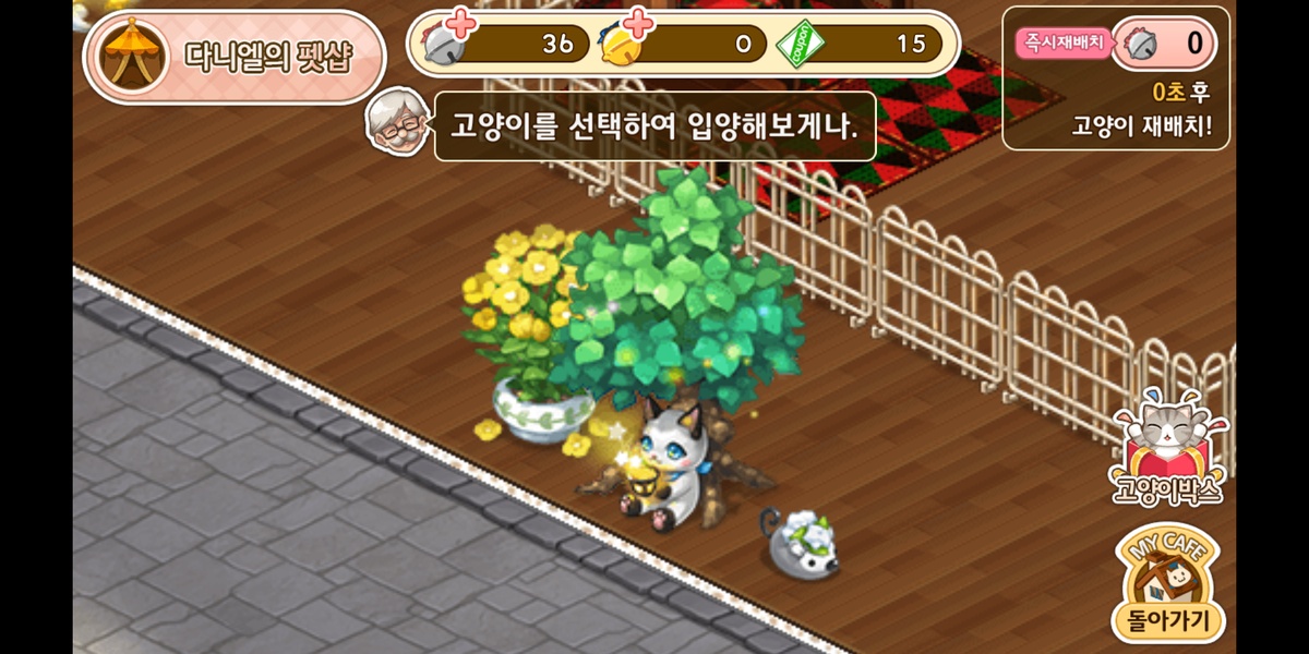 Cat Cafe - Preview 5