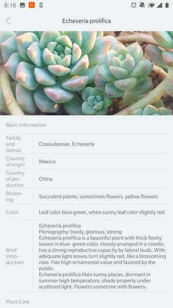 Flower Care - Preview 3