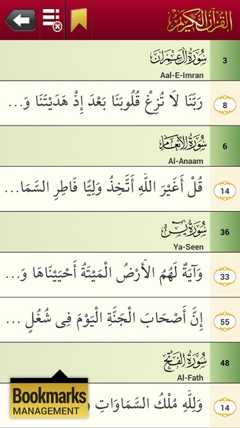 eQuran Lite - Preview 8