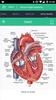 Human Organs Anatomy Reference screenshot 6