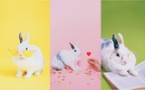 Cute Rabbits Wallpaper screenshot 2