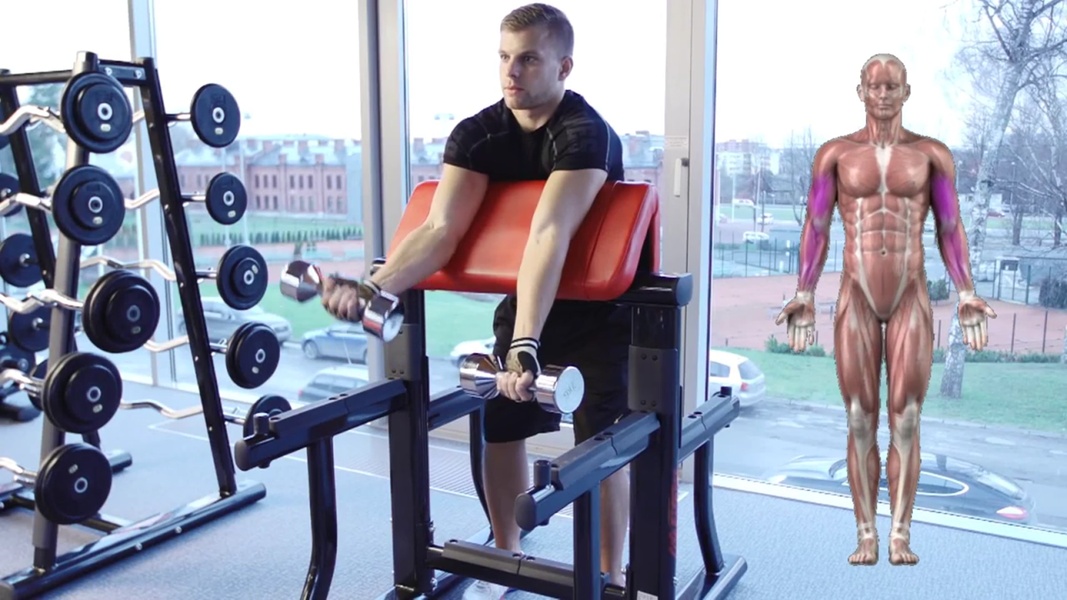 Gym Workout Programs - Preview 5