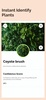 Plant Identifier: Plants screenshot 7