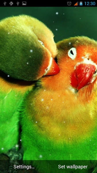 Parrot Live Wallpaper - Preview 5