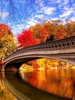 Landscape Puzzle Jigsaw screenshot 4