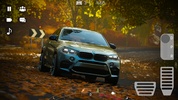 Drive BMW X6 screenshot 3