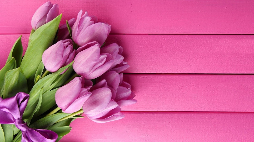 Pink Tulips Live Wallpaper - Preview 2