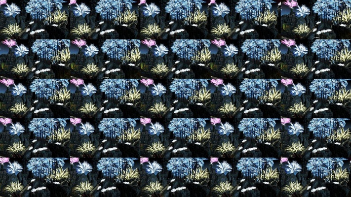 →