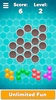Bubble Tangram - puzzle game screenshot 2