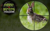 Rabbit Hunting Challenge screenshot 4