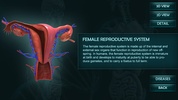 Female Reproduction system 3D screenshot 6