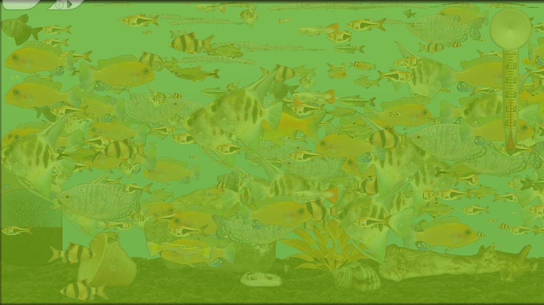Aquarium Fish - Preview 3