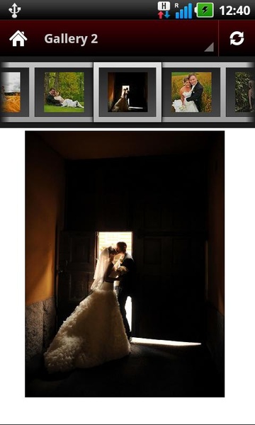 Wedding Portrait Posing Guide - Preview 3