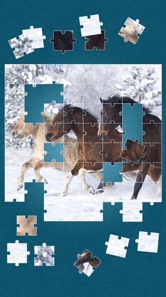 Horses Jigsaw Puzzle Game - Preview 13
